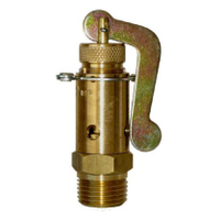 04-BL06-100 3/8 BSPT Lever Lift Relief Valve - 690 KPA (100 PSI)