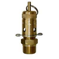 04-BR04-010 1/4 BSPT Ring Lift Relief Valve - 69 KPA (10 PSI)