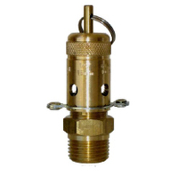 04-BR06-015 3/8 BSPT Ring Lift Relief Valve - 100 KPA (14.5 PSI)