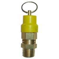 04-NSV10604-550 106SV 1/4 BSP Safety Valve - Set At 550 KPA (80 PSI)