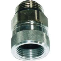 1" Male-Female BSP straight swivel