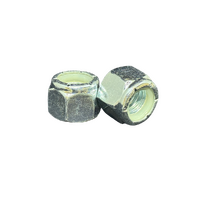 1/2" BSW Nylon Insert Nyloc Nut NE (Standard) Grade 2 Zinc Plated