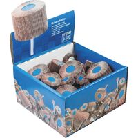 40pc Mounted Flap Wheels Fan Grinders SET Mixed Sizes - 6mm Shank