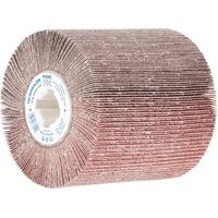 Flap Drum - Aluminium Oxide 19mm Keyed Bore 100x100 A 80 Grit