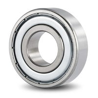 6019-ZZ Economy Deep Groove Ball Bearing Metal Shields (95x145x24)