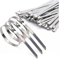 520 X 4.6 Cable Tie Stainless Steel 316 (pkt 50)