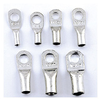 Crimp Lug 16mm x 10mm Hole  - CL1610