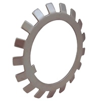 Bearing Tab Washer 10mm AW00