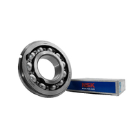 BL206ZNR NSK Max Capacity Ball Bearing Shielded with Snap Ring (30x62x16)