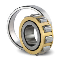 N205EM Cylindrical Roller Bearing Loose Outer Fixed Inner (25x52x15)