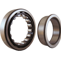 NJ2203ETVP2C3 Premium Cylindrical Roller Bearing Fix Outer Flanged Loose Inner (17x40x16)