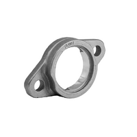 FL004 Economy Silver Series 2 Bolt Flanged Bearing Housing