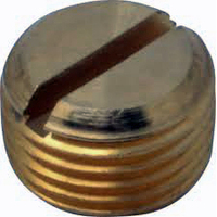 02N64SL-04 #64SL 1/4 NPT Slotted Plug (02-N64SL04)