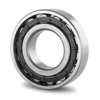 N209 KOYO Cylindrical Roller Bearing (45x85x19)