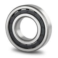 NJ205 KOYO Cylindrical Roller Bearing (25x52x15)