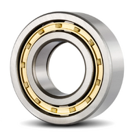 NUP2206EMC3 Rollway Cylindrical Roller Bearing (30x62x20)