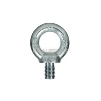 601056 Eye Bolt DIN580 56mm  11.5T