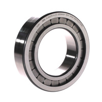 SL182215A INA Cylindrical Roller Bearing Full Complement (75x130x31)