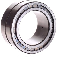 SL185020-A-C3 INA Cylindrical Roller Bearing Double Row Full Complement (100x150x67)