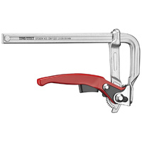 Teng F-Clamp Quick Lever 250 X 120mm