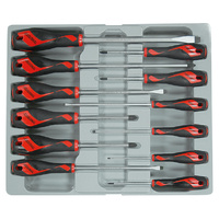Teng 12Pce MD TT-MV+ FL-PH-PZ Screwdriver Set