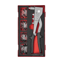 Teng 81Pce Rivet Gun Set - TEA-TRAY