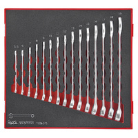 Teng 15Pce Combination Spanner Set 5.5-19mm - TED-TRAY