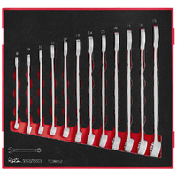 Teng 12Pce Anti-Slip Combination Spanner Set 8-19mm - TED-TRAY