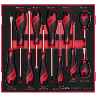 Teng 11Pce MD Screwdriver Set - TED-TRAY