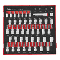 Teng 47Pce 1/4" & 3/8" Bit Socket Set EVA2