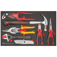 Teng 7Pce Plier And Hammer Set (EVA)