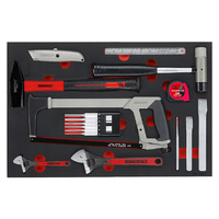 Teng 12Pce General Tool Set (EVA)