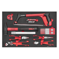 Teng 15Pce General Tool Set (EVA)