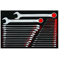 Teng 31Pce Metric Combination Spanner Set (EVA)
