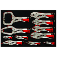 Teng 11Pce Power Grip Plier Set (EVA)