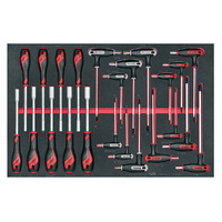 Teng 23Pce Nut & T-Handle Driver Set (EVA)