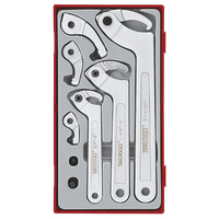 Teng 8Pce Hook & P Wrench Set - TC-TRAY