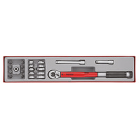 Teng 22Pce 3/8" Dr.Torq Wr Set 20-100Nm - TTX-Tray