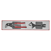 Teng 2Pce Plier/Adjustable Wrench Set - TTX-Tray