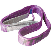 ITM Flat Web Lifting Sling, 1 Tonne, 10M Length