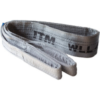 ITM Flat Web Lifting Sling, 4 Tonne, 10M Length