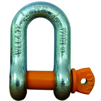 ITM Dee Shackle, Yellow Pin GS Screw Pin, 9.5 Tonne, 29mm Body