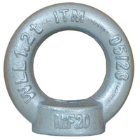 ITM Shouldered Eyenut, M10 Thread, DIN 582, 0.23T