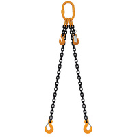 ITM 2 Leg Chain Sling, 10mm Chain, 4M Length, With Clevis Sling Hooks & Shortening Grab Hooks