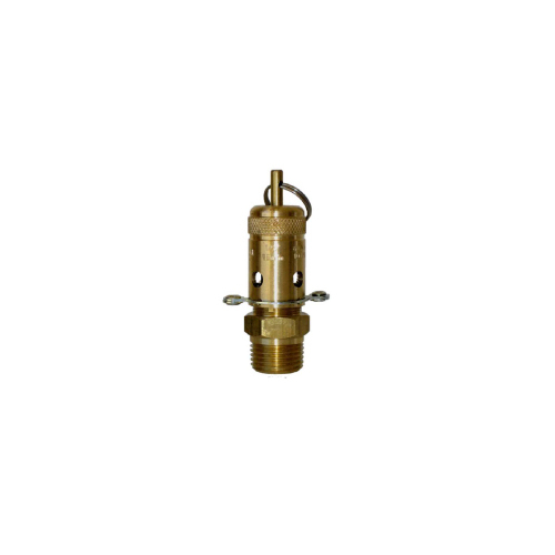 04-BR06-015 3/8 BSPT Ring Lift Relief Valve - 100 KPA (14.5 PSI)