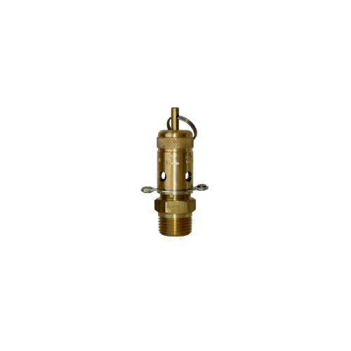 04-BR08-070 1/2 BSPT Ring Lift Relief Valve - 483 KPA (70 PSI)