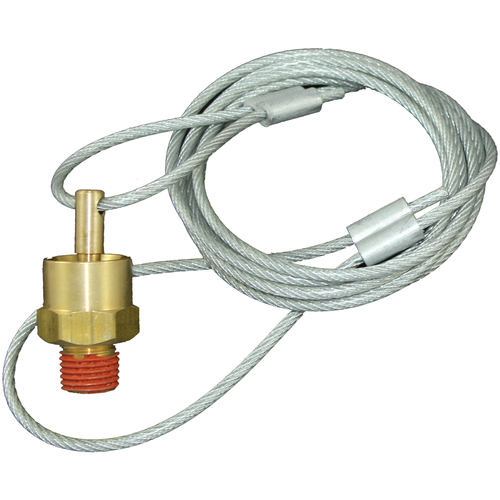 04-DV1421 1/4 NPT Drain Valve With 60'' Cord