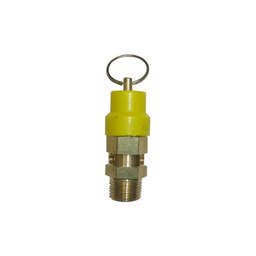 04-NSV10604-206 106SV 1/4 BSP Safety Valve - Set At 206 KPA (30 PSI)