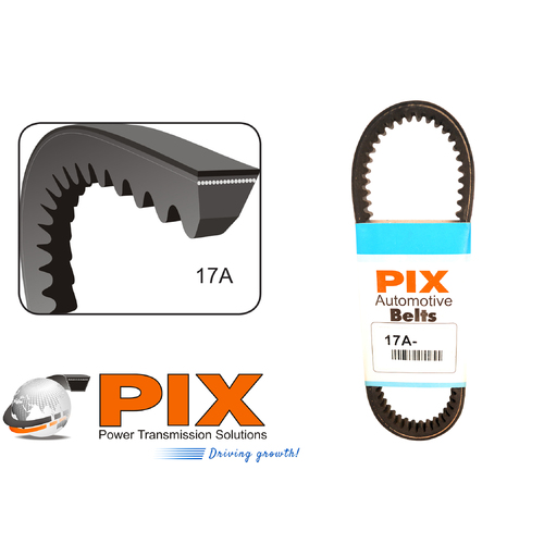 17A-1015 PIX Automotive Vee Belt Cogged