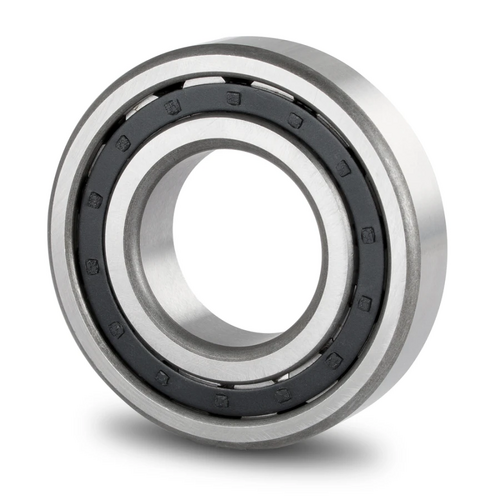 NJ305C3 NACHI Cylindrical Roller Bearing (25x62x17)